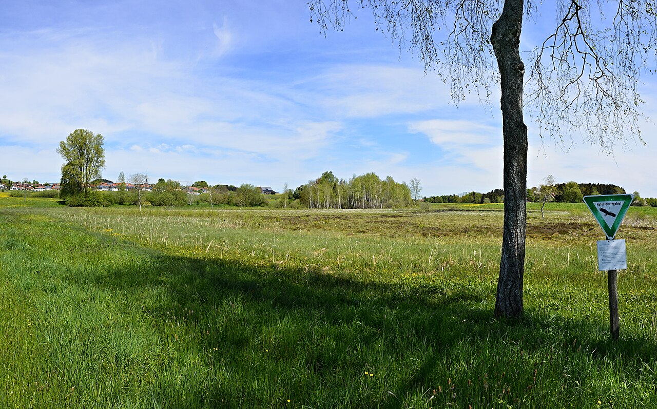 Foto von Scheibensee