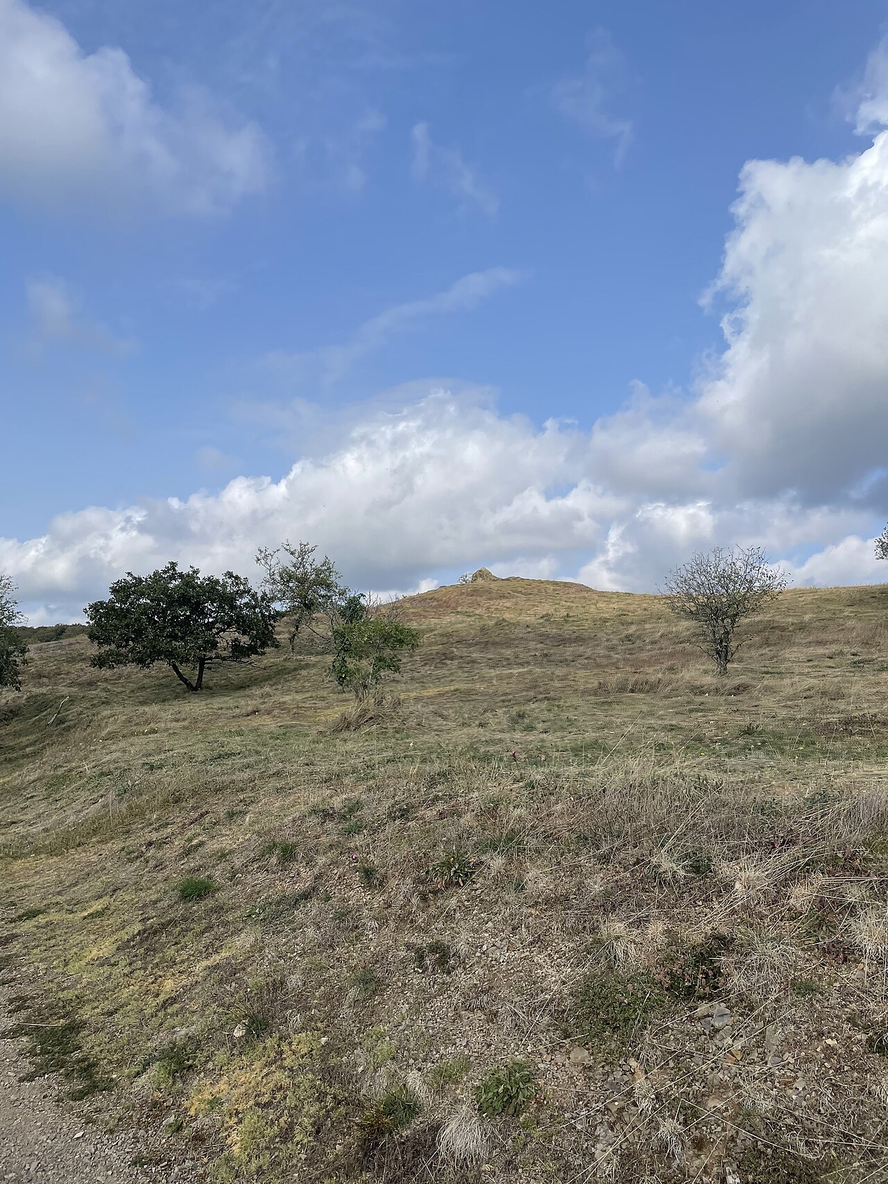 Rabenfels, Teil des Naturschutzgebietes Schelmenkopf-Falkenstein in Falkenstein (Pfalz)