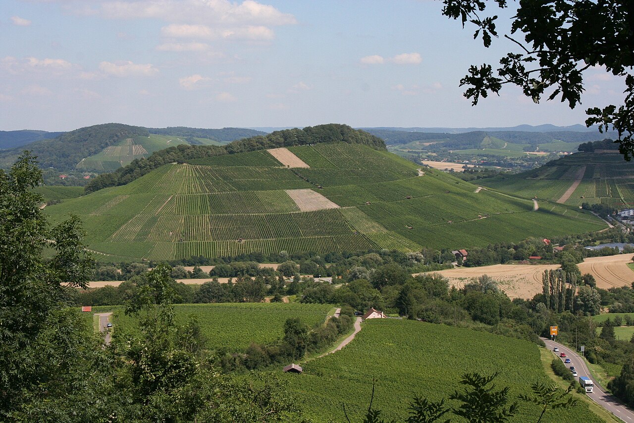 View from the Wartberg hill to the Schemelsberg hill in Weinsberg