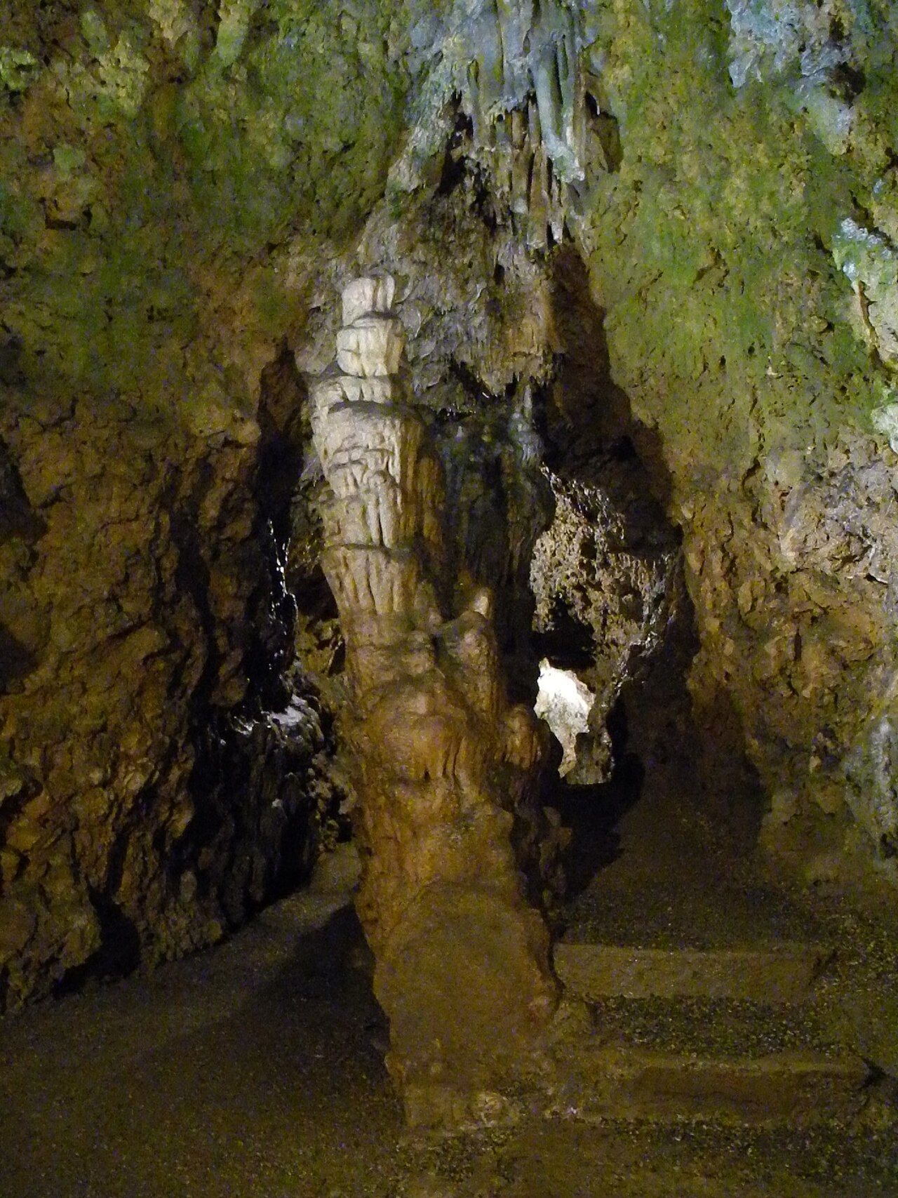 Westerheim - Schertelshöhle 212 m