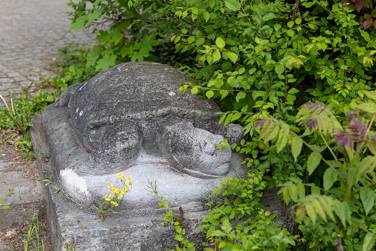 Schildkröte, Skulptur von Friedrich Zuchantke von 1954