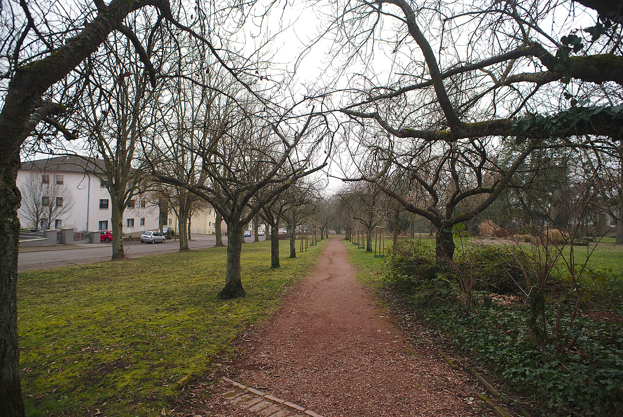 Weg durch den Schillerpark in Völklingen