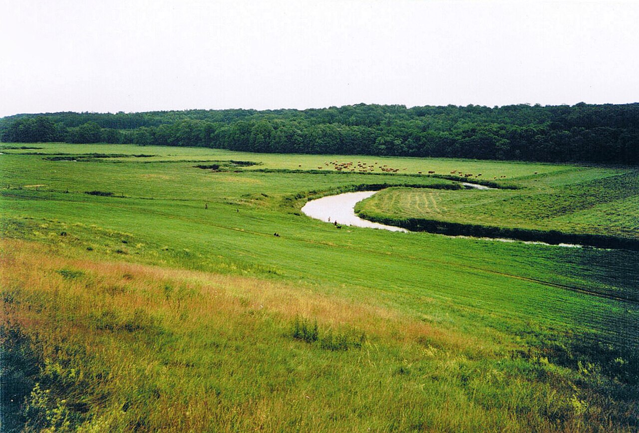 The river Tollense near the village Weltzin in Mecklenburg-Vorpommern (Germany)