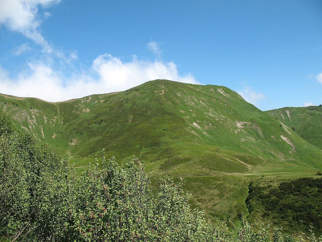Schlappoltkopf (1968 m)