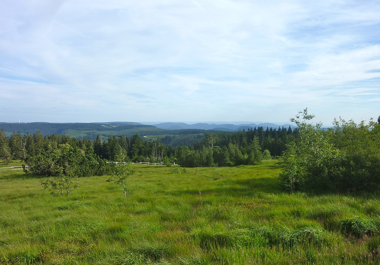 Schliffkopf: Blick nach Süden