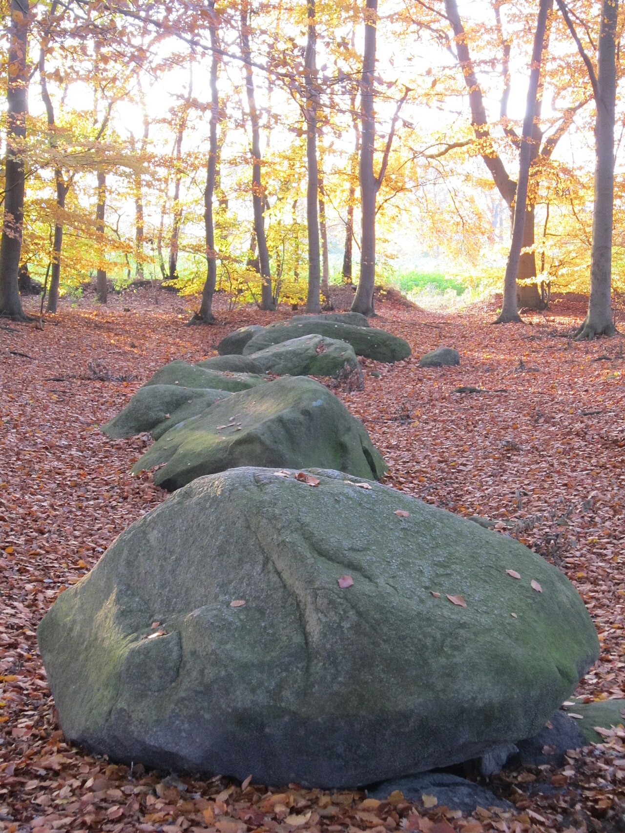 Schlingsteine - Dolmens in Lindern (Landkreis Cloppenburg, Lower Saxony)
