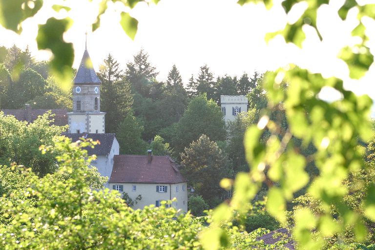 Burg der Schenken von Geyern