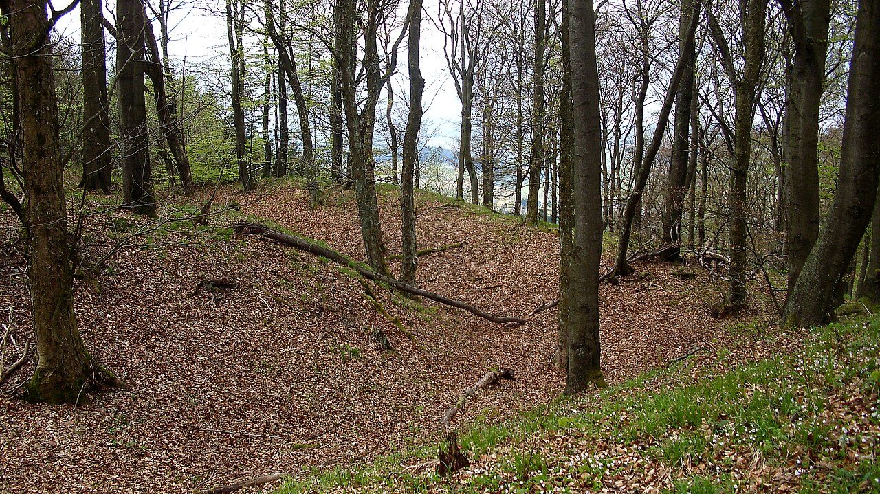 Wallanlage auf dem Schlossberg bei Küstelberg