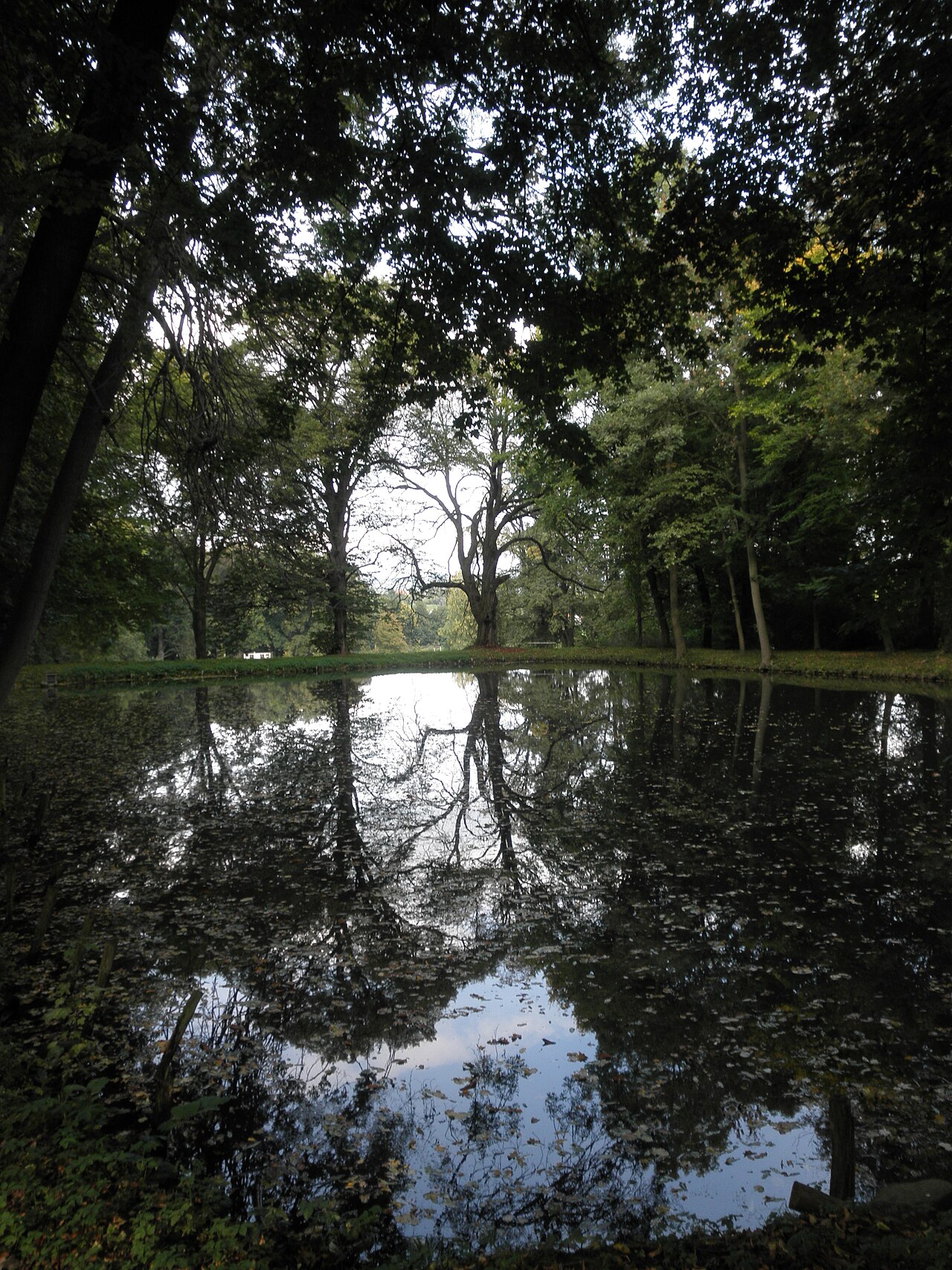 Fishpond in Park Bendeleben / Thuringia
