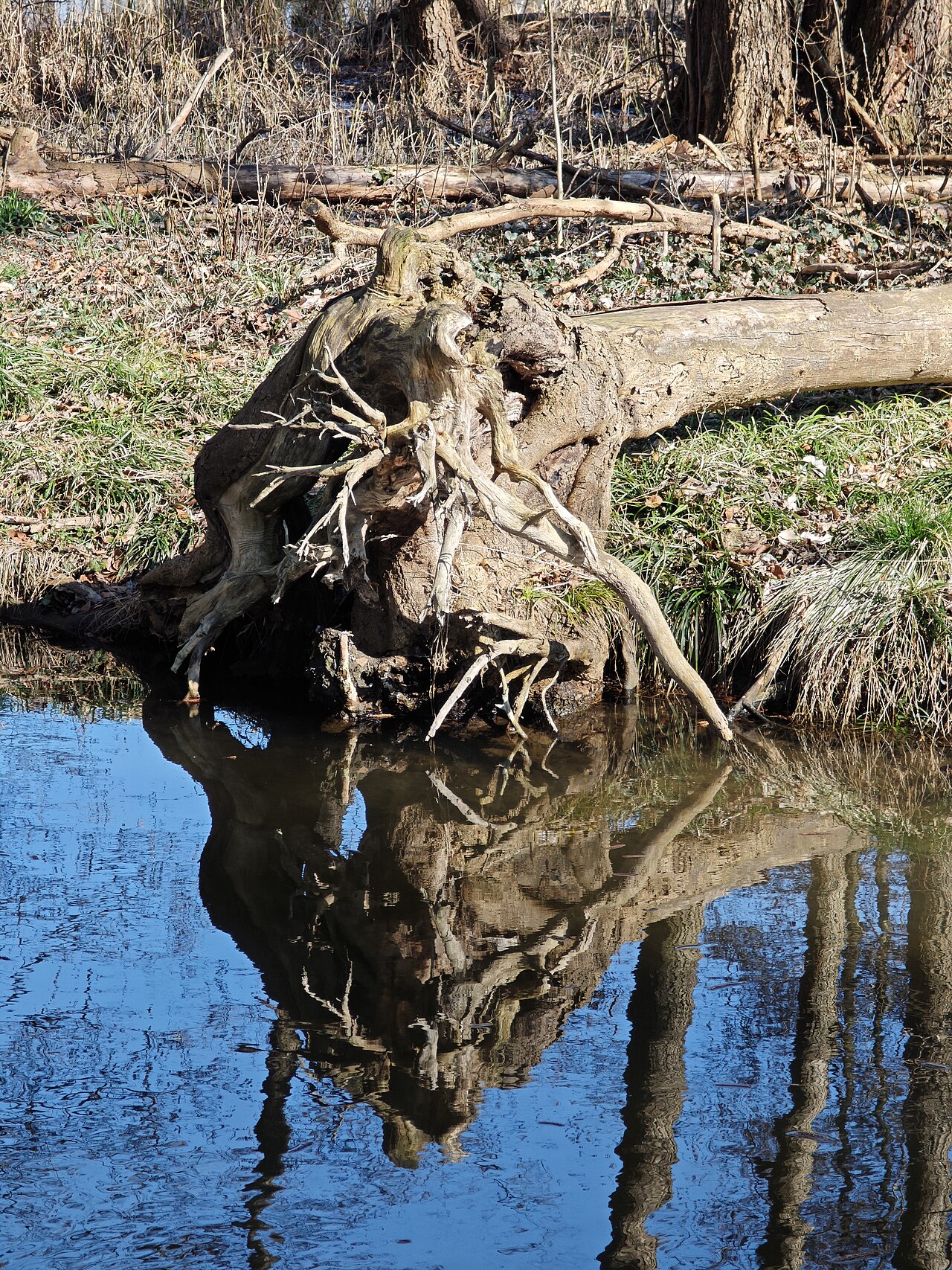 Schlosspark Buckow (Park in Deutschland)