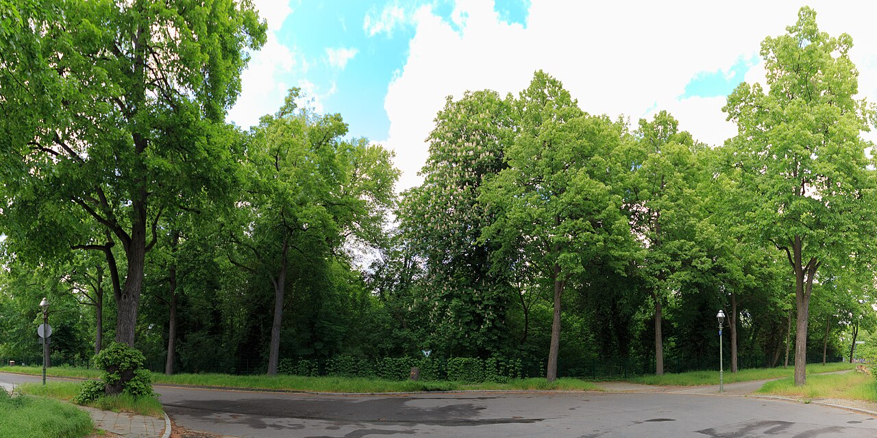 View from Krahmer street on the nature reserve Gutshaus Lichterfelde