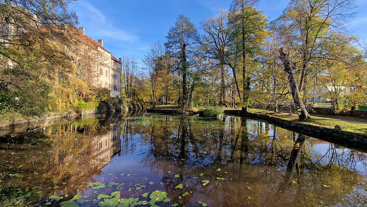 Pond in the castle park in Seifersdorf