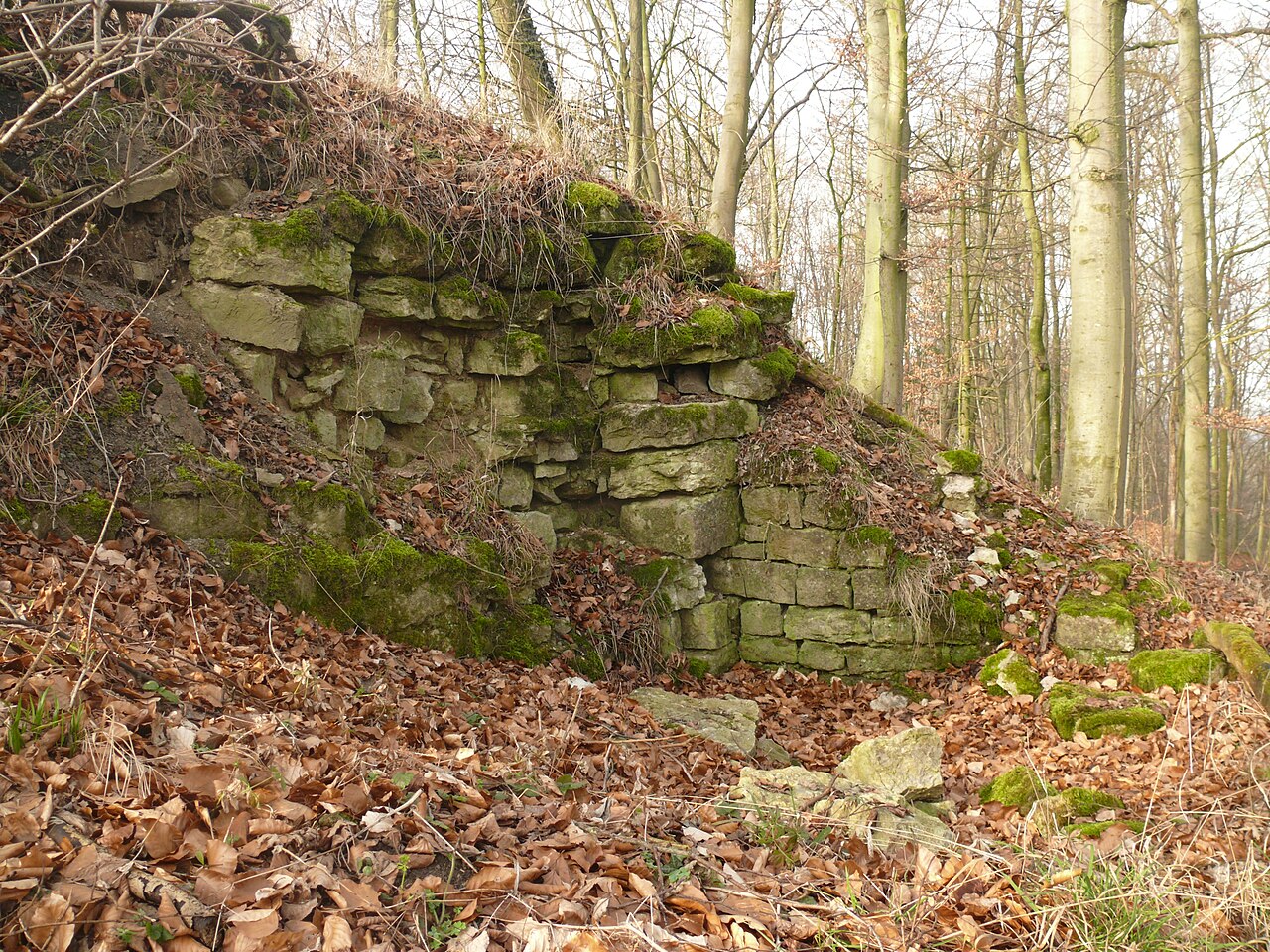 abgegangene Burg Bielriet, Mauerreste