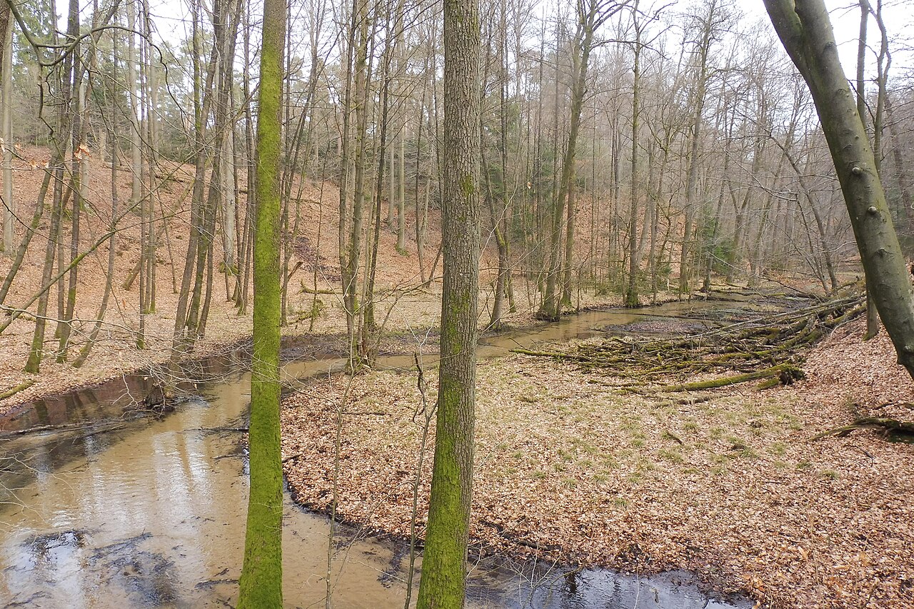 Naturschutzgebiet „Schluchten und Moore am oberen Furlbach“