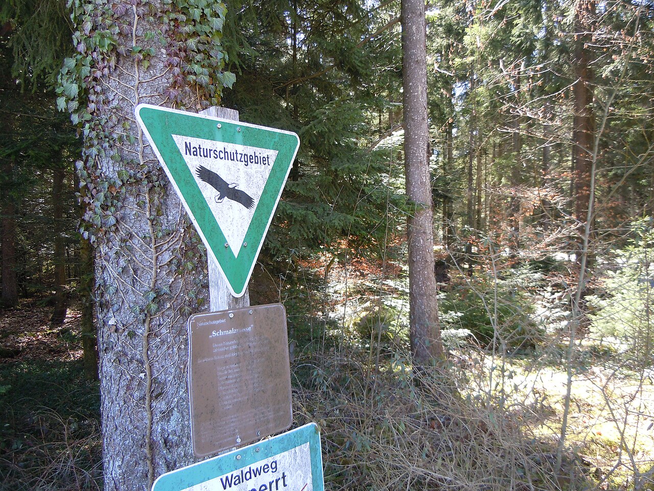 Nordwestlicher Zugang zum Naturschutzgebiet Schmalzmisse