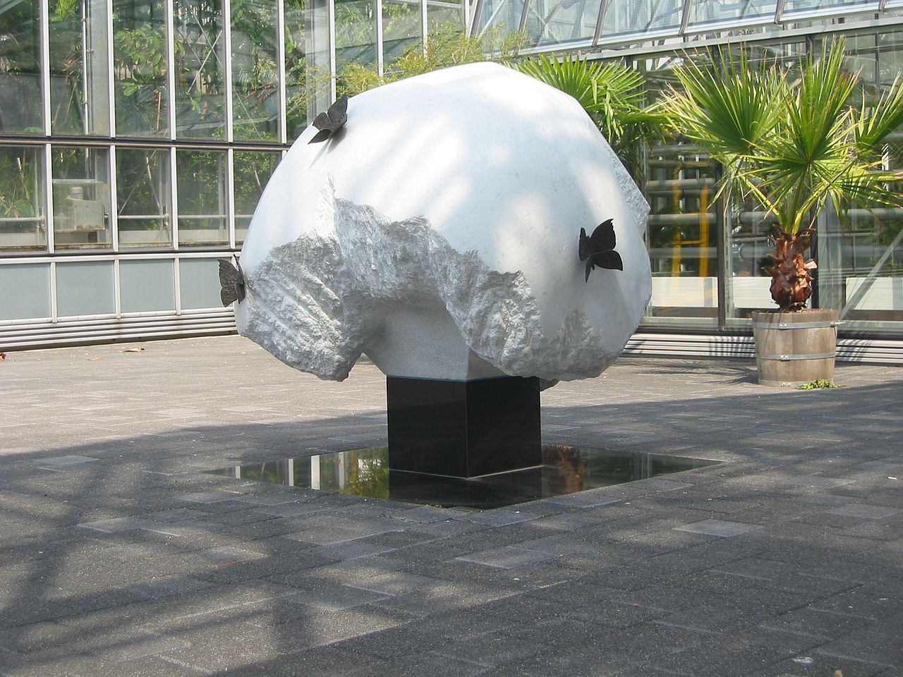 Schmetterlingsbaum Botanischer Garten Leipzig