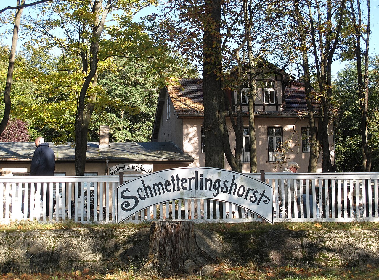 Foto von Schmetterlingshorst