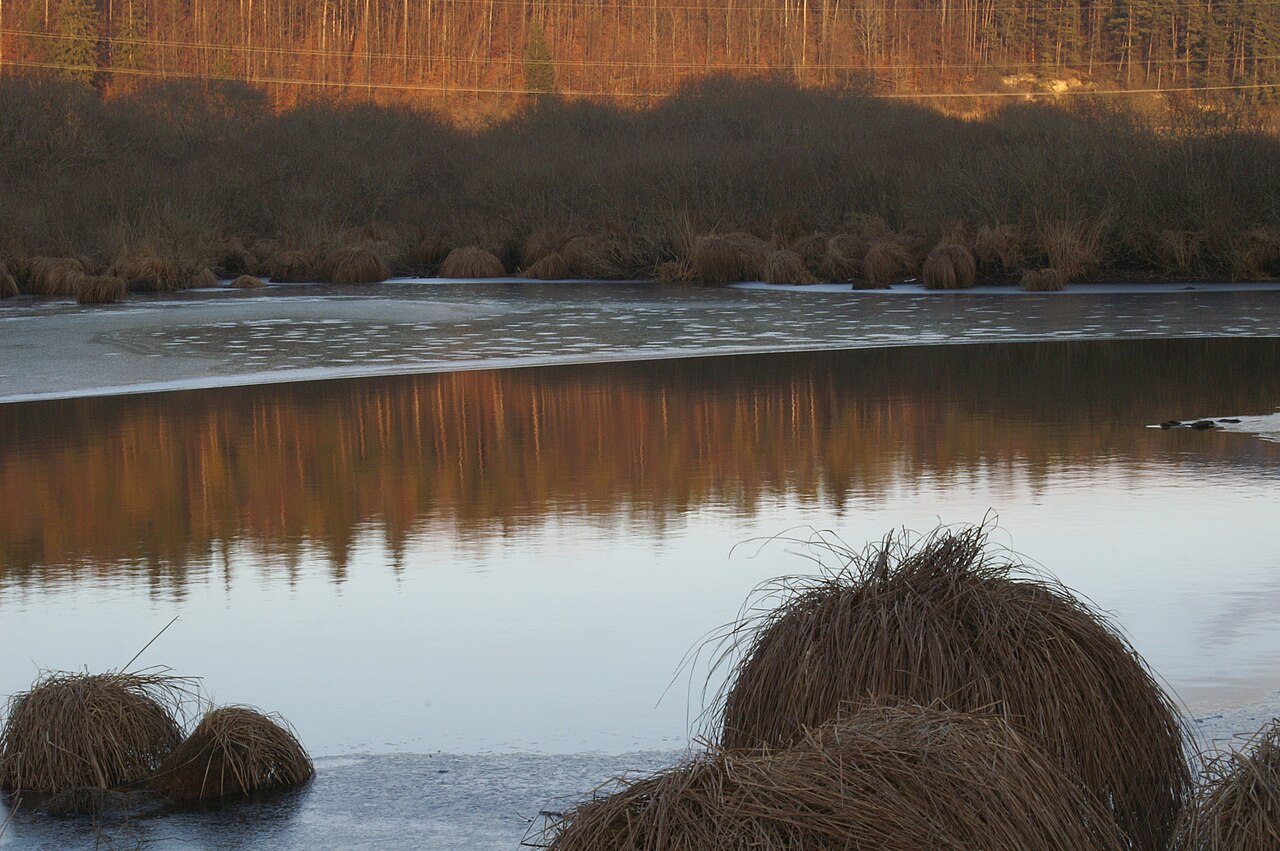 Naturschutzgebiet Schmiechener See