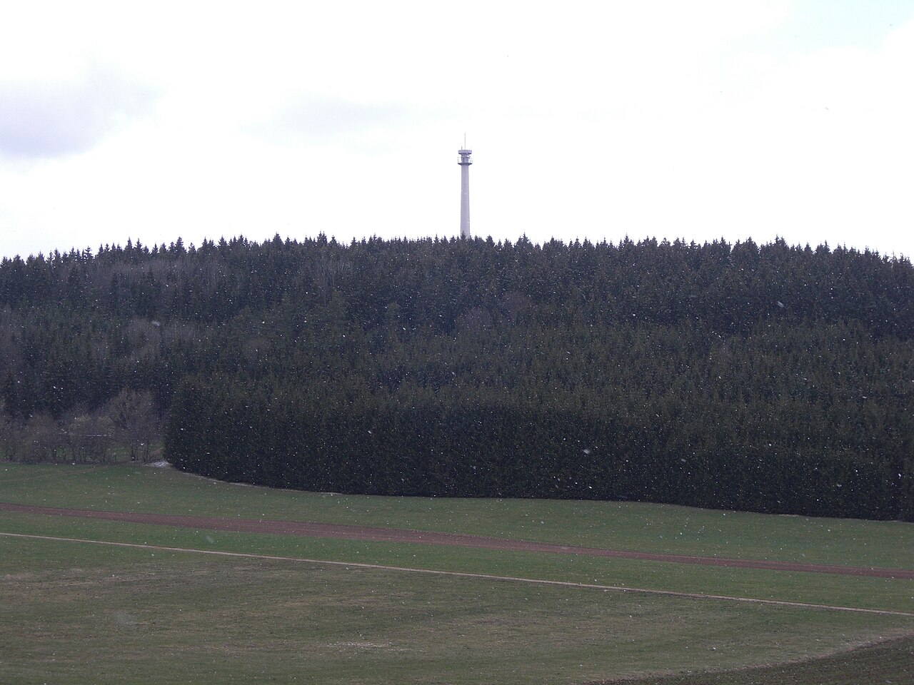 Blick von der Kreisstrasse 8213 auf den Schnaitkapf