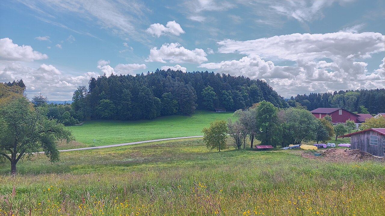 Schneckenberg in the municipality of Neukirch, view from west