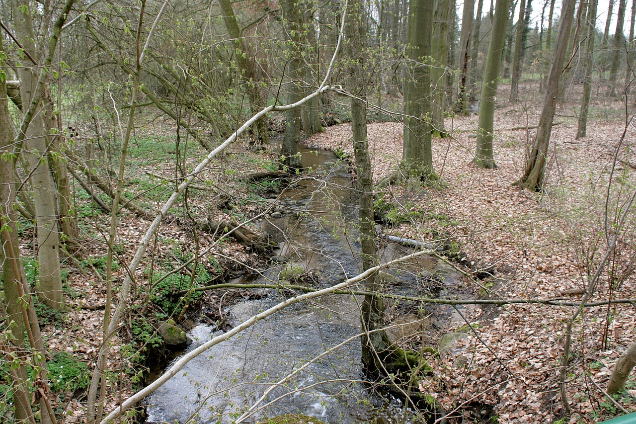Schnegaer Mühlenbach im NSG Schnegaer Mühlenbachtal nahe der Wassermühle Proitze, Proitzer Mühle, Proitze in Schnega