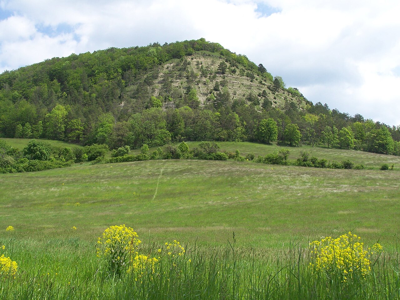Naturschutzgebiet Schönberg im Saale-Holzland-Kreis