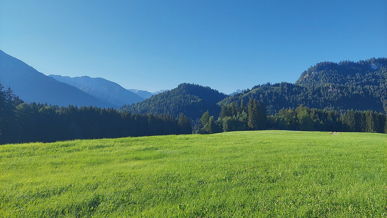 Schönhaldenkopf in the Allgäu Alps