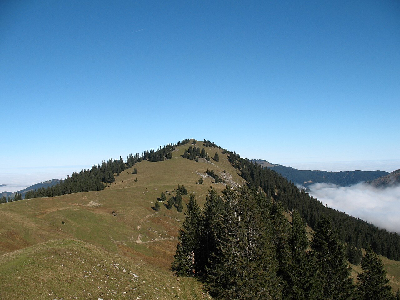 Blick vom Pürschling (1634 m) auf den Gipfel des Schönkahler (1688 m)