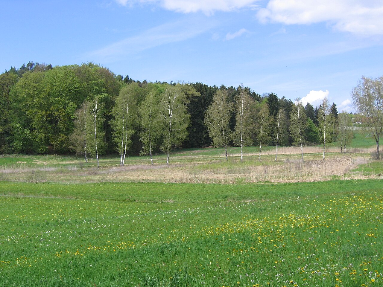 Deutschland - Baden-Württemberg - Bodenseekreis - Kressbronn am Bodensee: Naturschutzgebiet " Schönmoos "