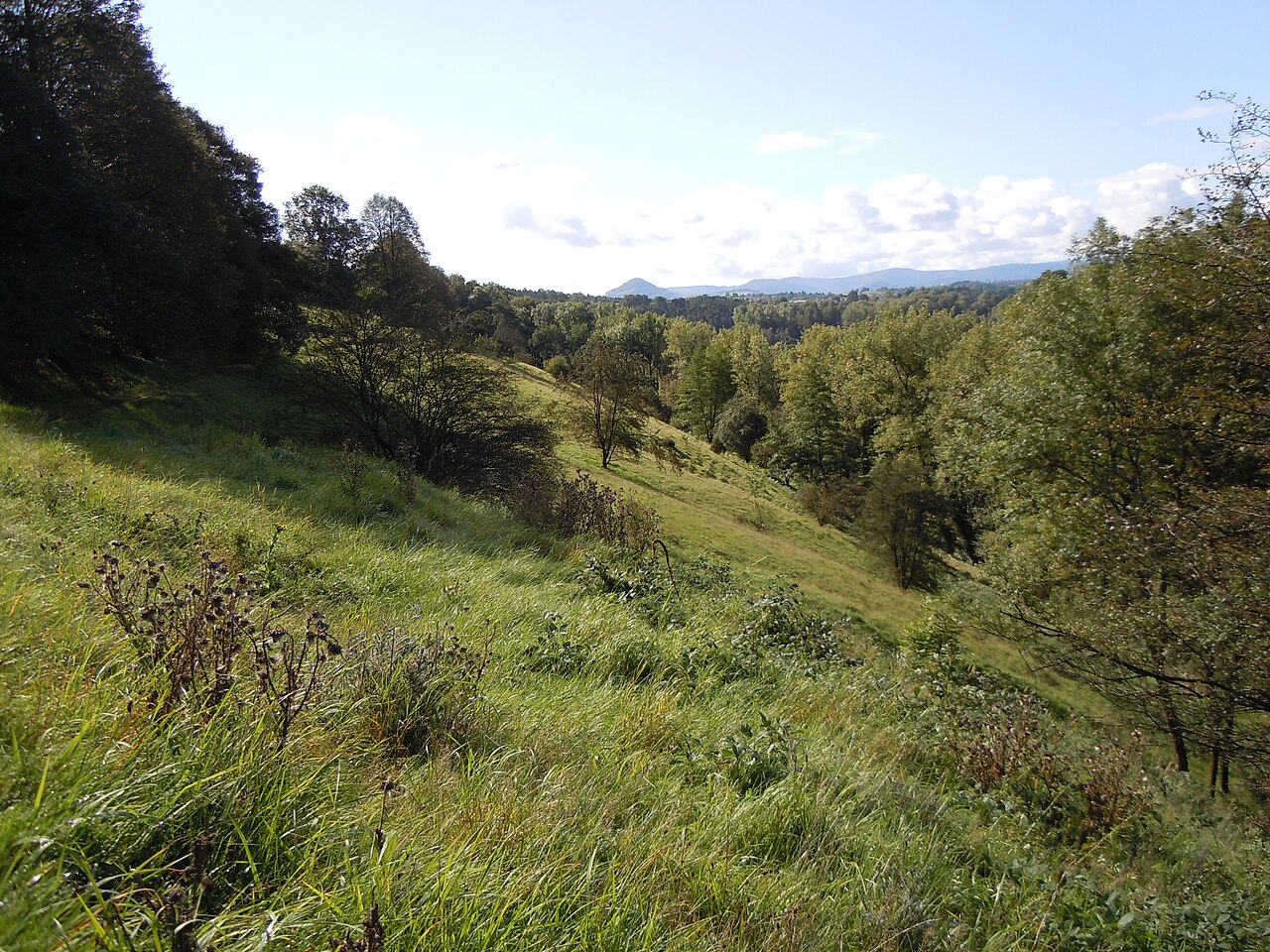 Naturschutzgebiet Schönrain