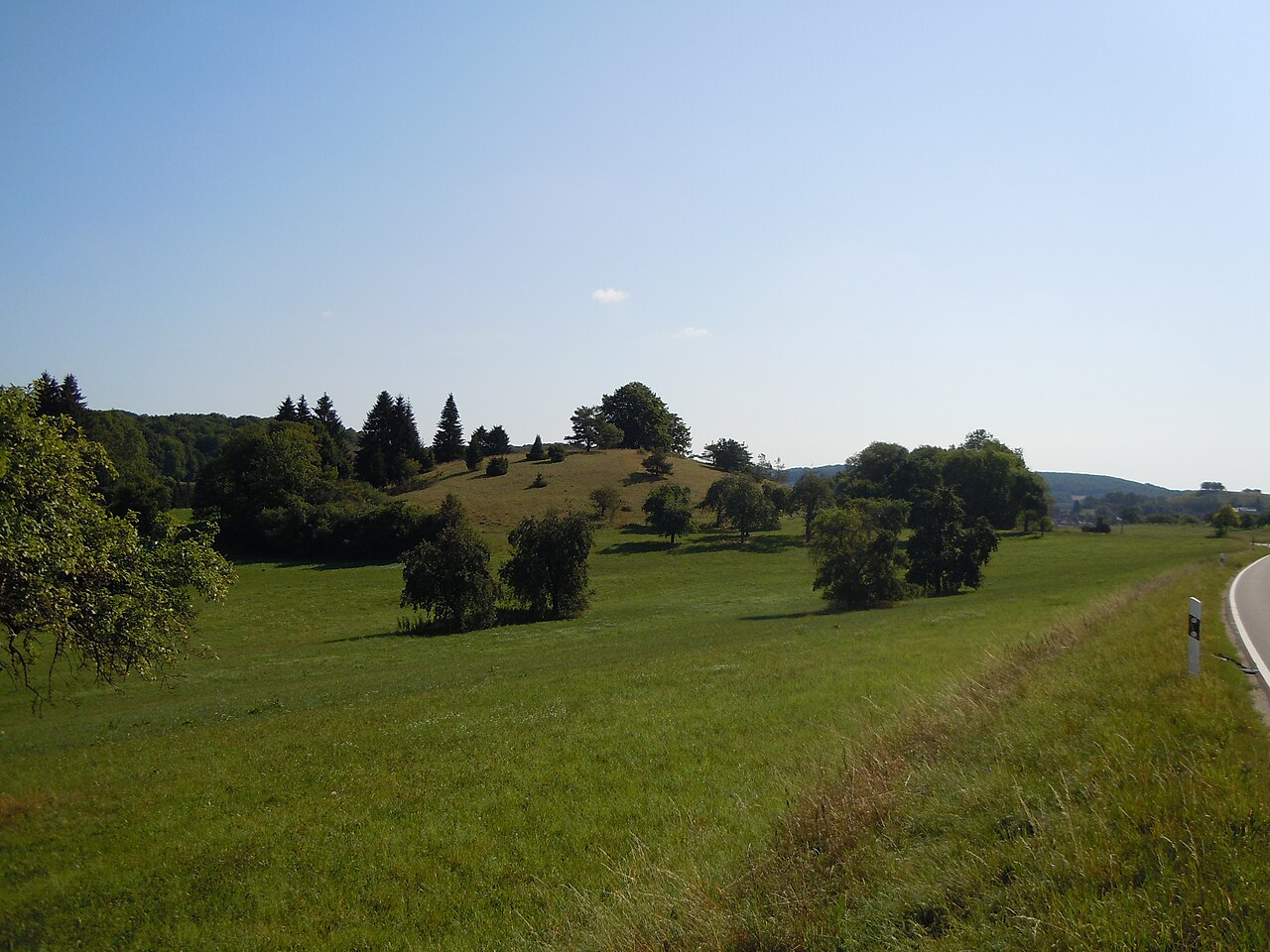 Naturschutzgebiet "Schopflochberg" (Schutzgebiets-Nr