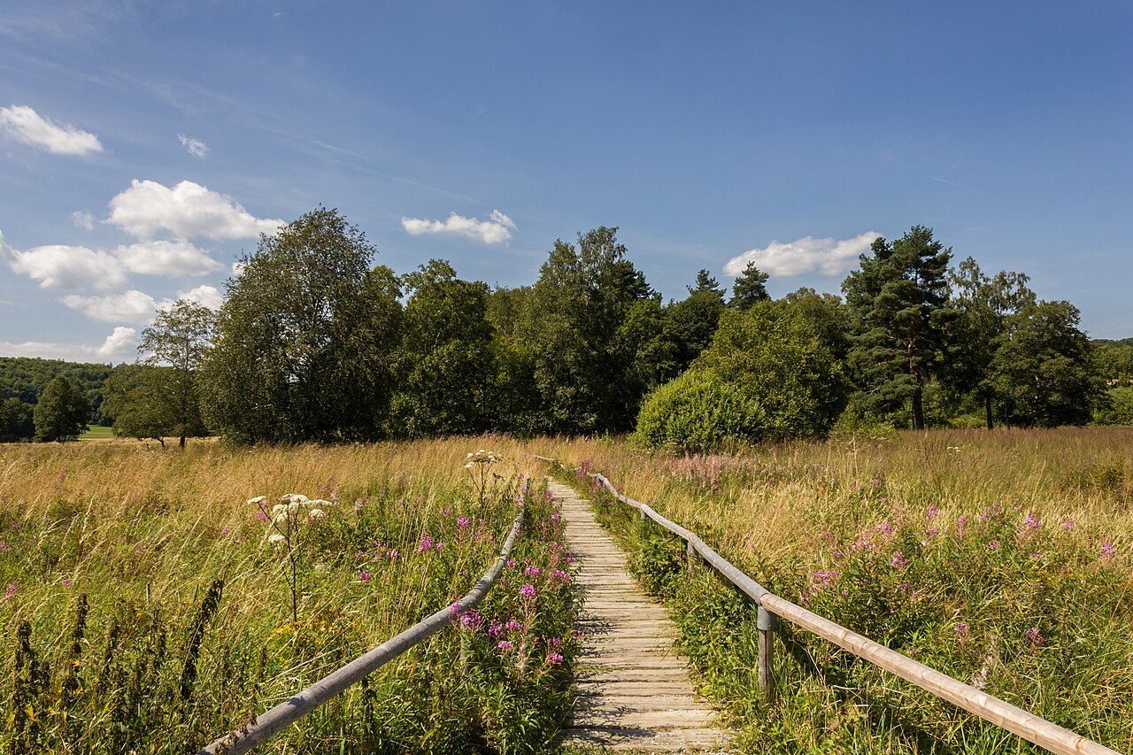 Naturschutzgebiet "Schopflocher Moor (Torfgrube)", 1