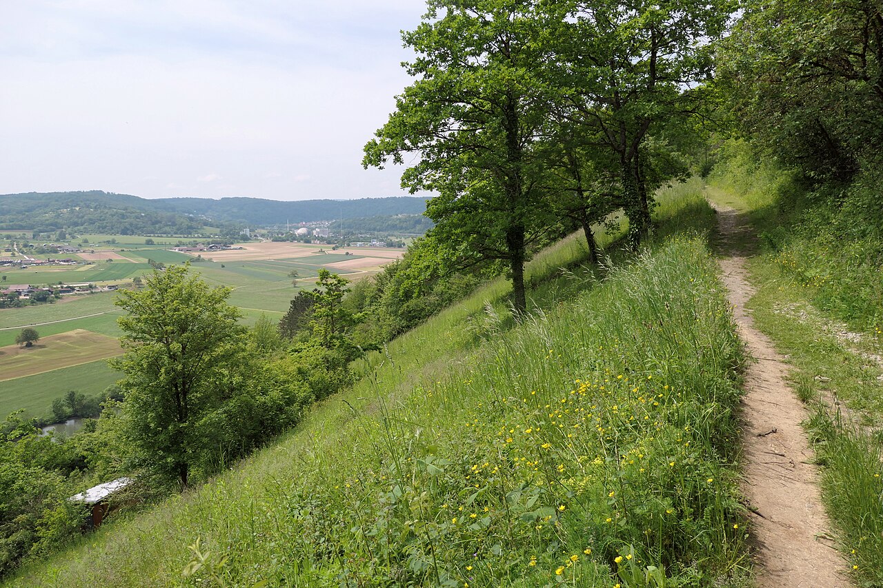 Naturschutzgebiet Schreckberg (Mosbach, Neckar-Odenwald-Kreis, Baden-Württemberg)