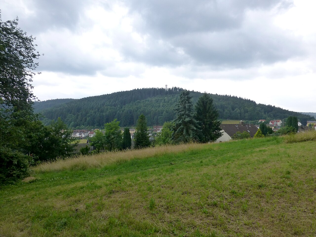 Blick von Wilhelmsfeld zum Schriesheimer Kopf
