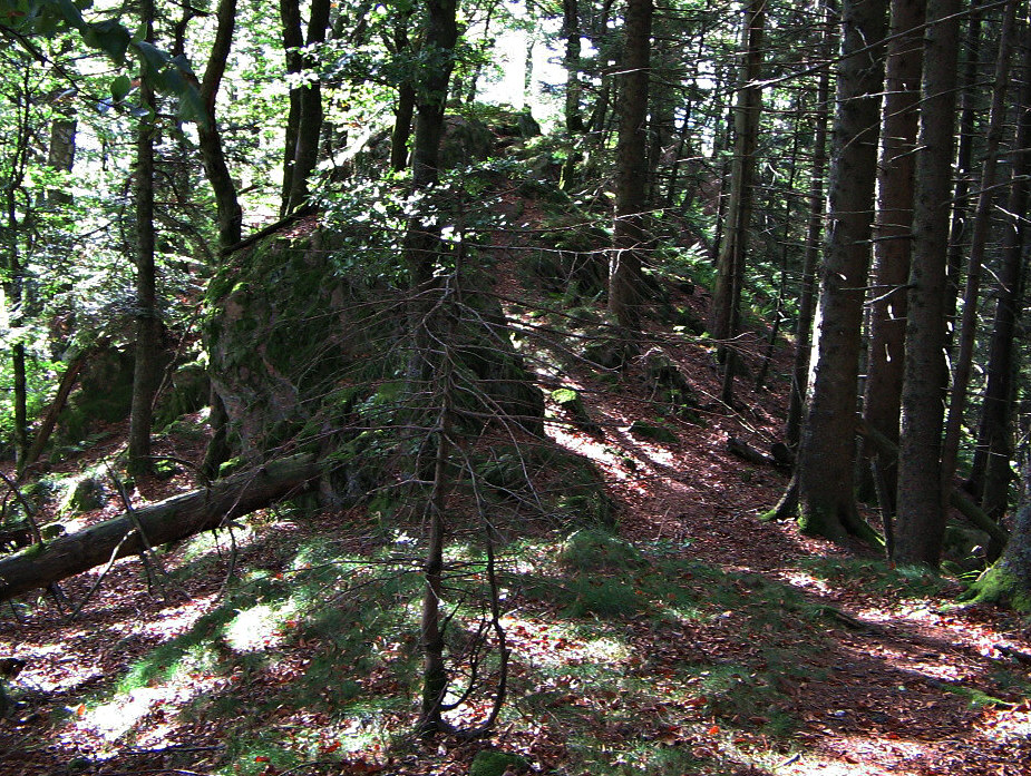 Path along Schultiskopf ridge, Black Forest (Germany)