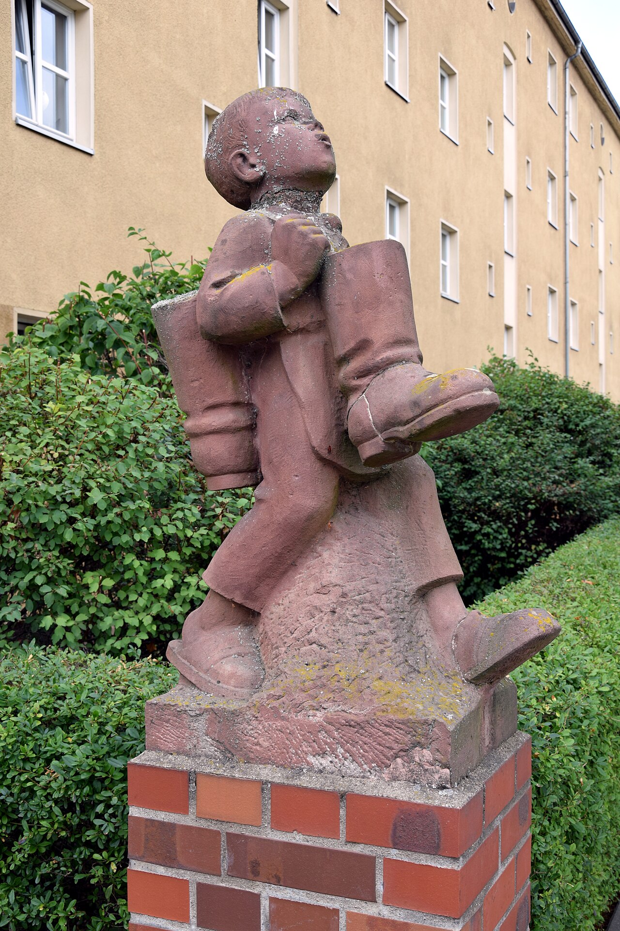 Foto von Schusterjunge