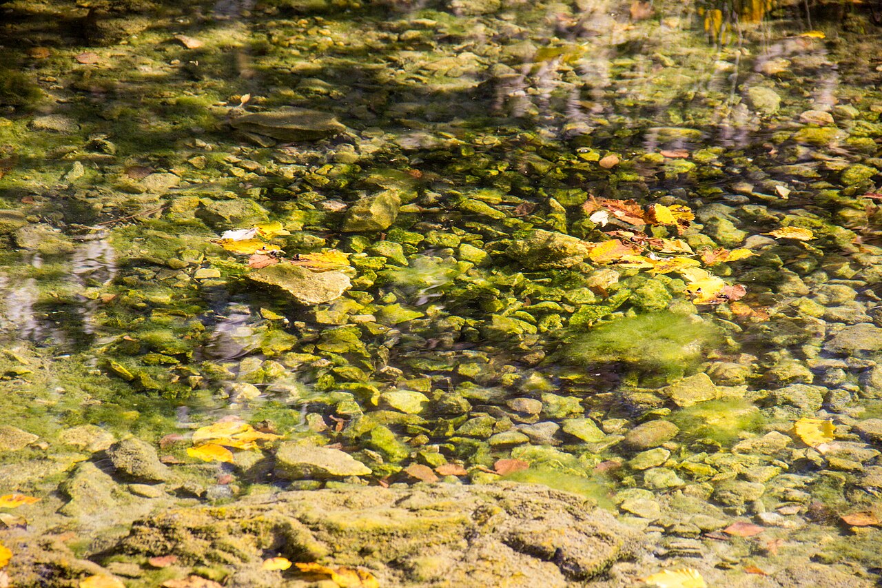 Wellheim, Schutterquelle, Geotop