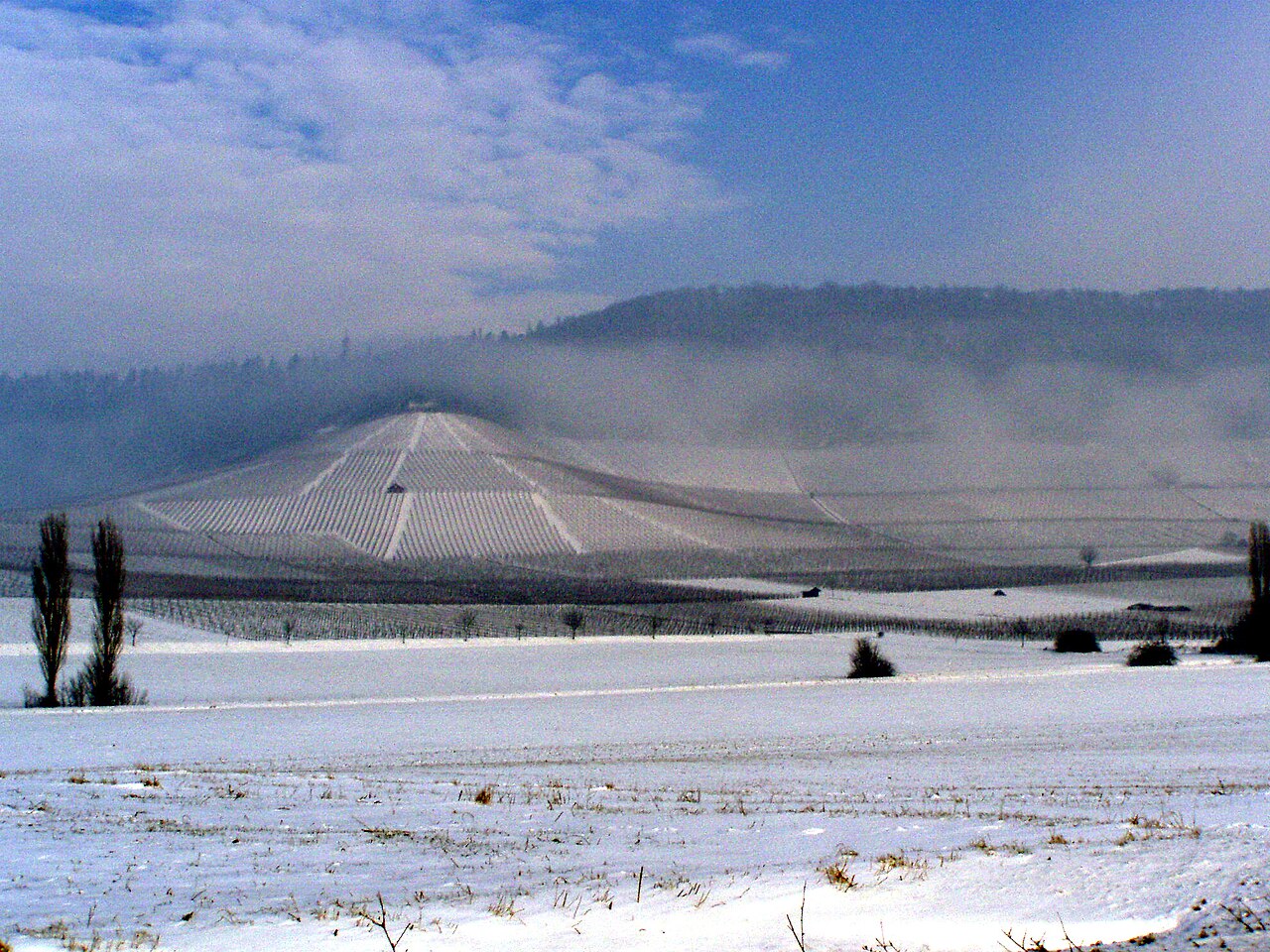 Der Schwanberg im Steigerwald mit Weingärten