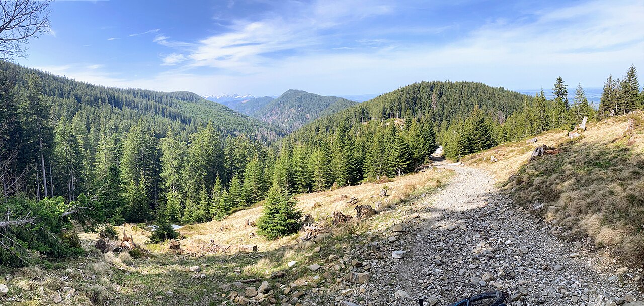Schwarzeck (Trauchberge)