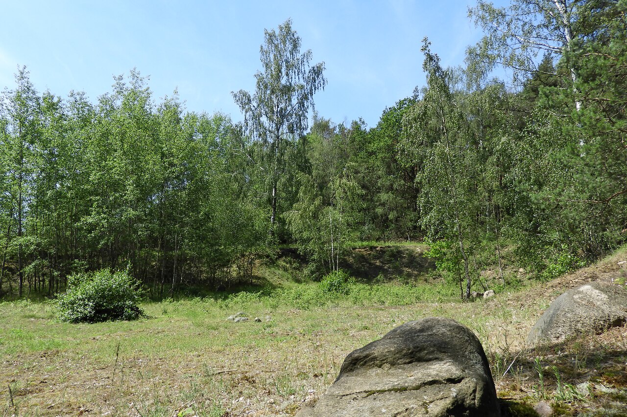 Nature reserve "Schwarzer Berg bei Krummasel"