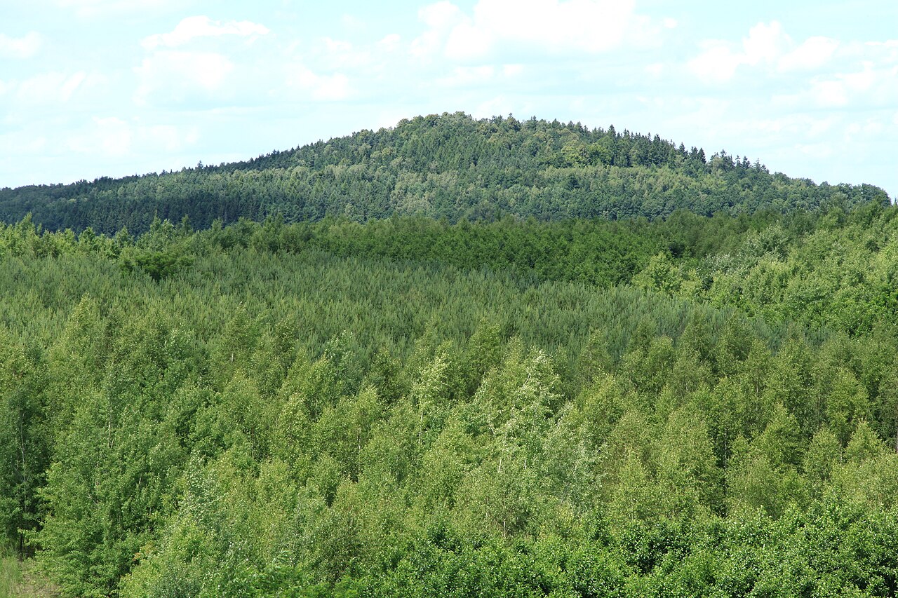 Blick vom Aussichtsturm Neuberzdorfer Höhe in Schönau-Berzdorf auf den Schwarzen Berg