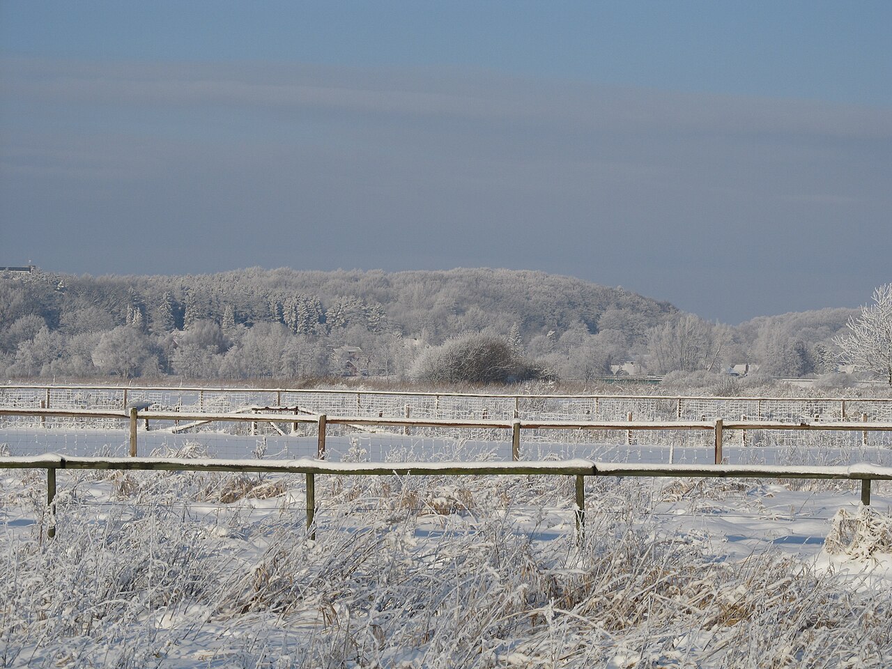 The Schwarze Berg (Black Mountain) as seen from the Schwingewiesen in early winter of 2010