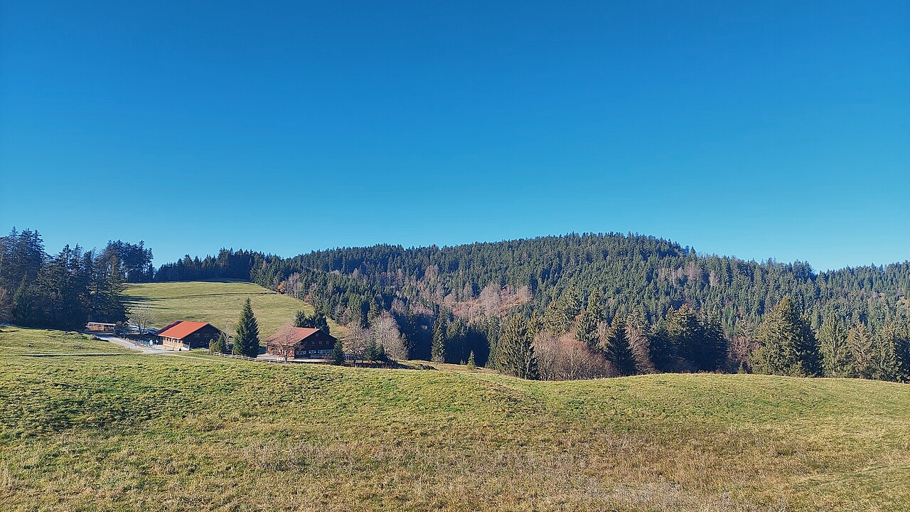 Wenger-Egg-Alpe and Schwarzer Grat marked by Schwarzer Grat Tower looking over the trees, view to the north