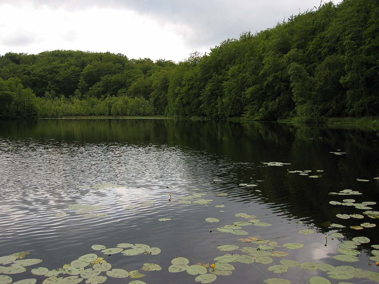 Schwarzer See, bei Sellin auf Rügen , Deutschland