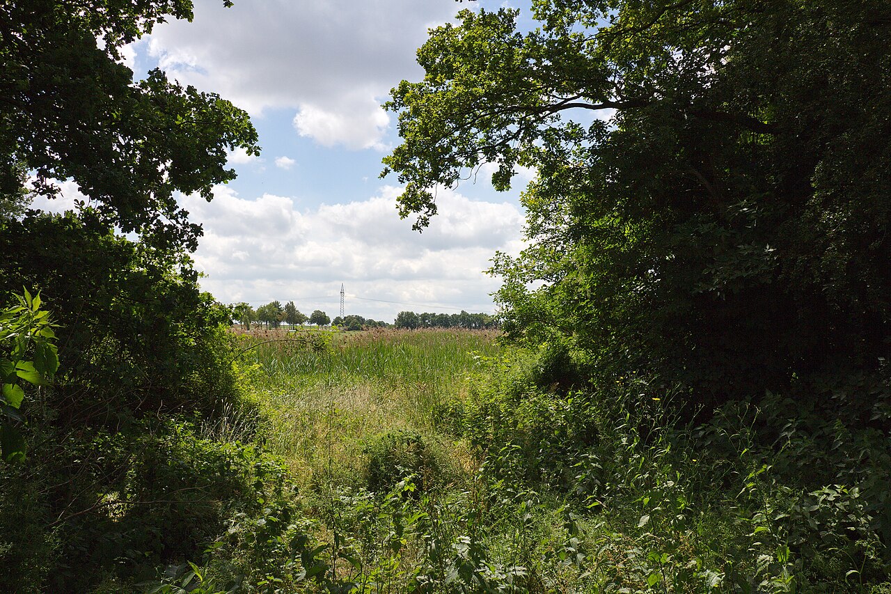 Naturschutzgebiet Schwarzwasserniederung in Niedersachsen, Deutschland