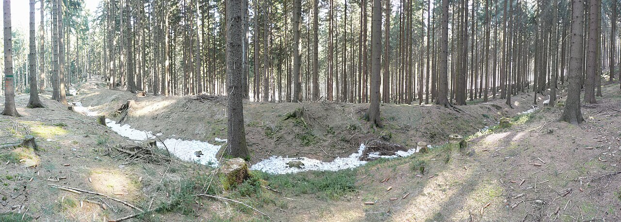 Erdwerk der Wüstung Schwedengraben im Panorama von Norden gesehen (Blick von außen)