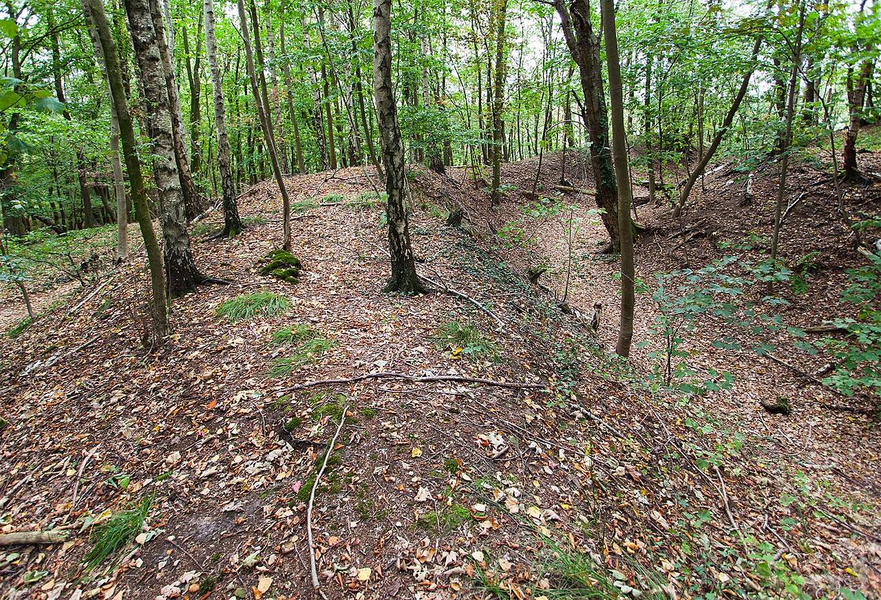 Vlotho, Schwedenschanze (Amtshausberg)
