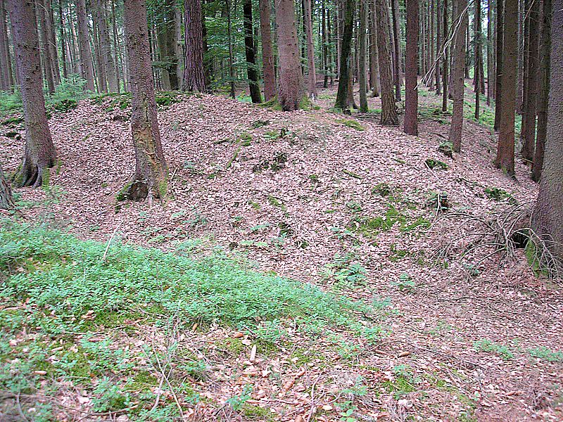 Early Middle Ages hill fort "Schwedenschanze" near Nisselsbach (Aichach, Landkreis Aichach-Friedberg, Bavaria, Germany)