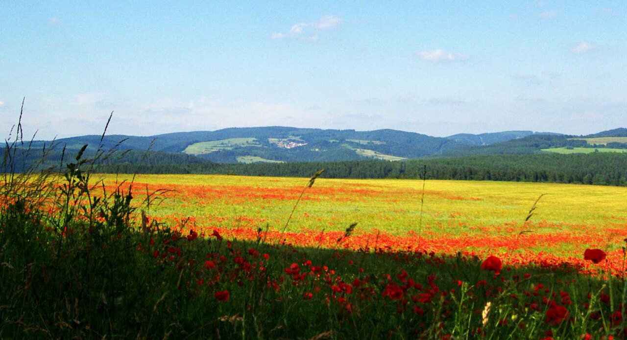 Der Kalte Staudenkopf (768 m) im Thüringer Wald von Richtung Hildburghausen (Süden) aus
