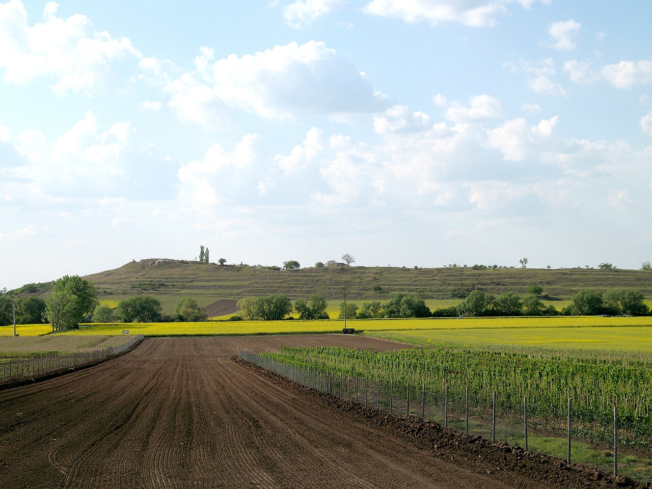 nature reserve Schwellenburg, Germany, Thuringia, southern hillside